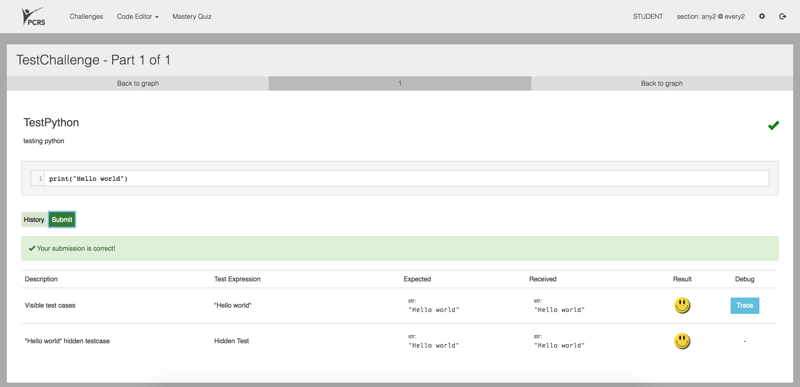 An example of how students view testcases.